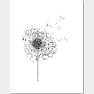 Dandelion 3 Posters and Art